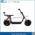 18x9.5 inch fat tyre with Brushless dc motor 1000w electric citycoco scooter