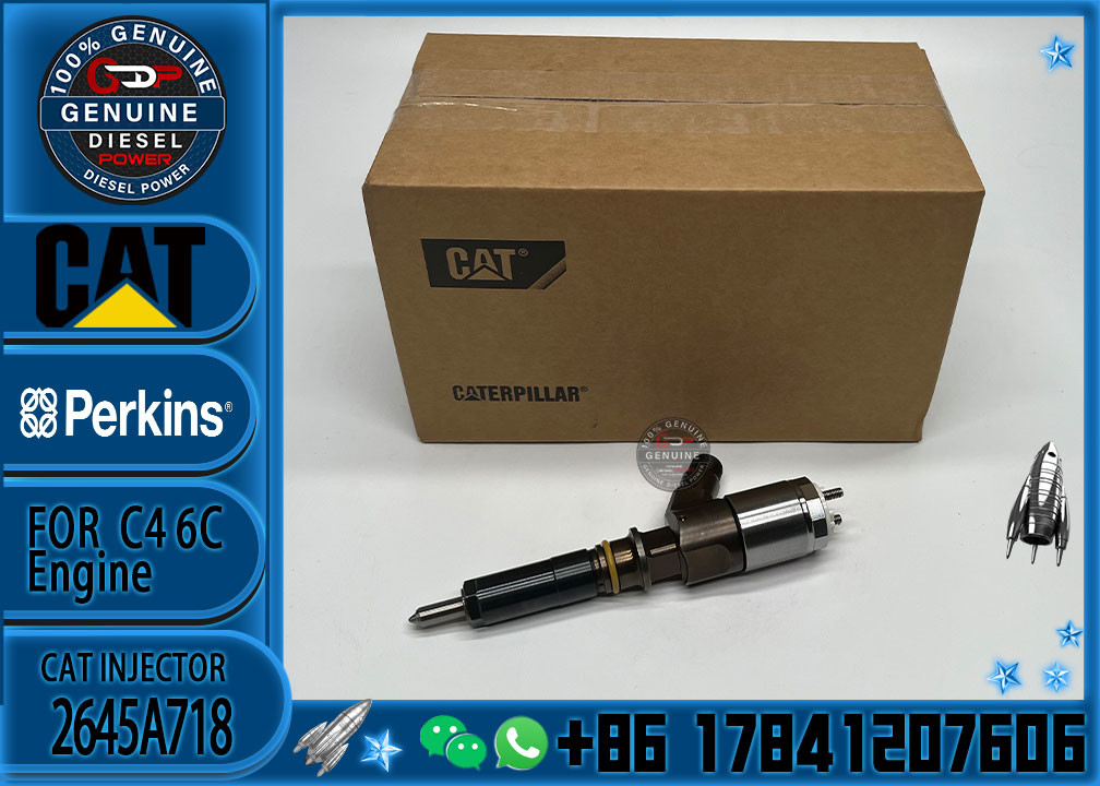 Brand New For 323D C6.6 Excavator Engine Common Diesel Engine Fuel Rail Injector 292-3780 2645A718