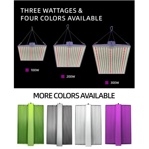 2x2ft 3x3ft Flower Grow Light Full Spectrum Veg And Bloom LED Grow Light