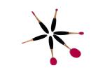 6 Pieces Tooth Shapes cosmetic brush set for makeup , Light PVC Package