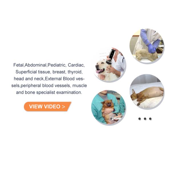 Wifi Yonker Double Probe Mini Handheld Cow Pet Animal & Portable Machine Vet Veterinary Ultrasound Scanner Monitor