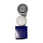 Compound Paper 23861998 Vehicle Fuel Filters Low Maintenance