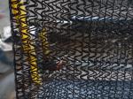sun shade mesh