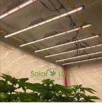 UL8800 Full Spectrum Spydr Samsung LM301H Osram 90Watt Horticultural LED Grow
