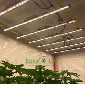 Wholesale UL8800 Full Spectrum Spydr Samsung LM301H Osram 90Watt Horticultural LED Grow Lighting from china suppliers
