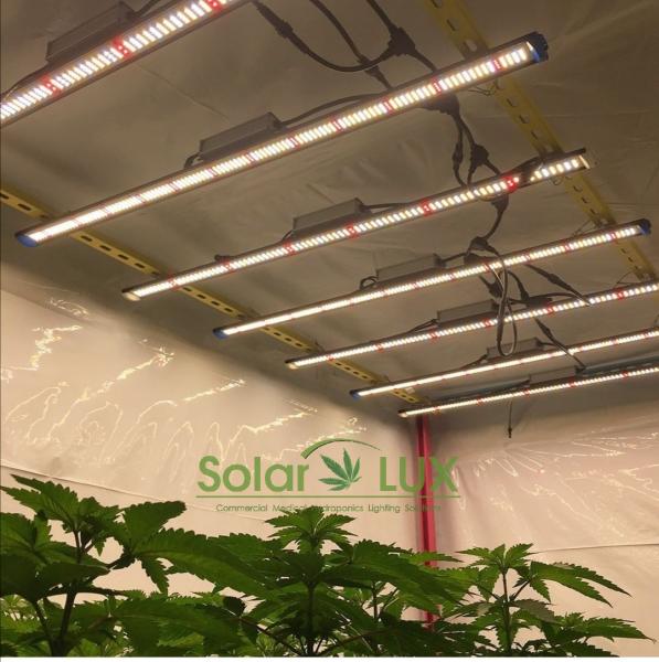 UL8800 Full Spectrum Spydr Samsung LM301H Osram 90Watt Horticultural LED Grow