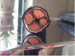 0.6/1KV Copper core PVC insulated PVC sheathed power cable (YJV22 1x95)