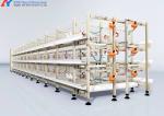 Custom H Type Broiler Rearing Cage , Full Automatic Broiler Cage System