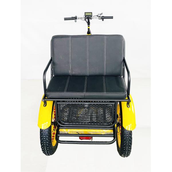 US Fat Tire Electric Passenger Tricycle with 1000W Bafang Motor and Aluminum Pedal