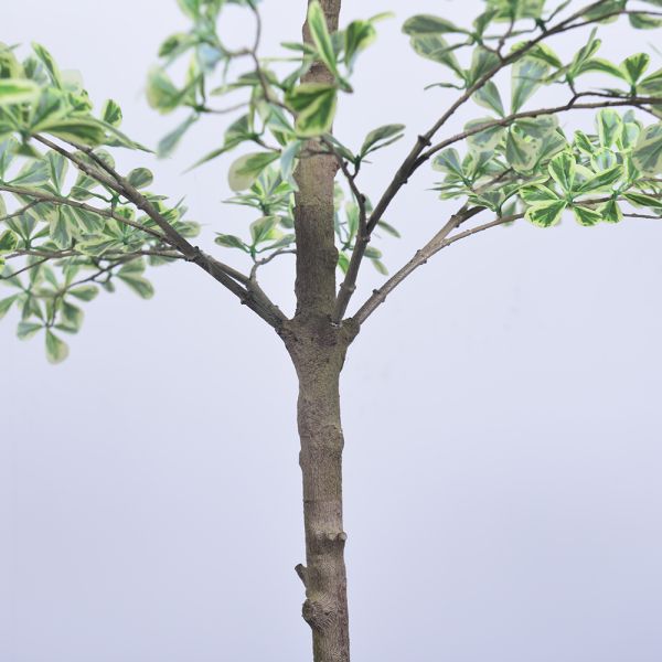 Artificial Terminalia Tree 180cm 260cm 320cm | Large Faux Tree for Hotel & Commercial Landscaping | Indoor Outdoor Decor