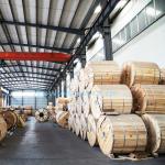 600V XLPE Insulation Copper Xhhw-2 Special Cable for Overhead Industrial