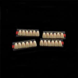 Wholesale Stain Resistance Dental Artificial Teeth Acrylic Resin Incisor 2x1 Manufacturer CE ISO Composite Dentadura from china suppliers