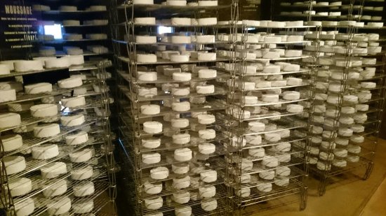 application case about flour wire shelving 