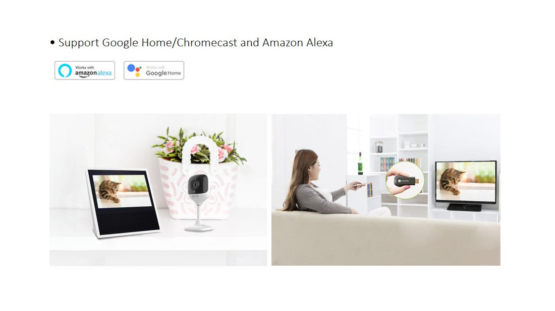 Smart Wireless 1080P Indoor Cube Camera(E96K)