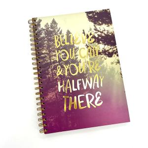 Wholesale Hole Punch Golden Binding Spiral Notebook Printing Blank Pages from china suppliers