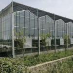 US Currency Glass Greenhouse for Growing Plants 100.000kg Package Gross Weight