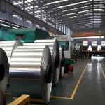 Non Toxic Kitchen 0.006mm Extra Thick Aluminium Foil