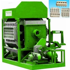 Full Automatic Paper Egg Tray Maker Machine High Efficiency Recycled