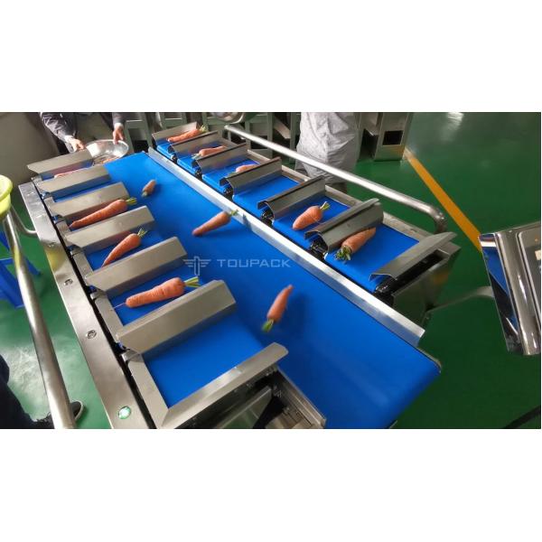 Semi Automatic 12 Belt Combination Weigher For Vegetable Carrot Cucumber Chili
