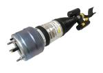 A2533207200 A2533207300 Front Air Suspension Shock Strut Absorber For Mercedes