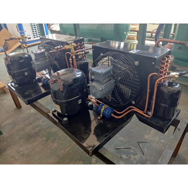 2HP Explosion Proof Refrigeration Condensing Unit Hermetic R404a TAJ2464Z