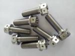 High quality Titanium Titanium Alloy Fasteners for industry,chemical, best price