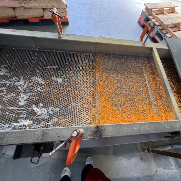 PE Foam Plastic Granulating Machine Foaming Pelletizer For XLPE XPE Foam