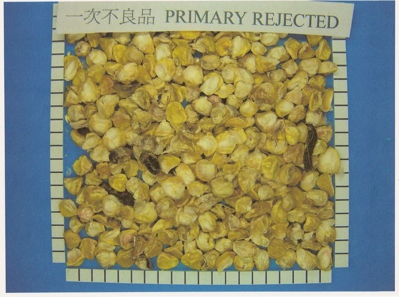 Large Capacity Colour Sorting Machine For Corn / Peaunts / Bean / Grain