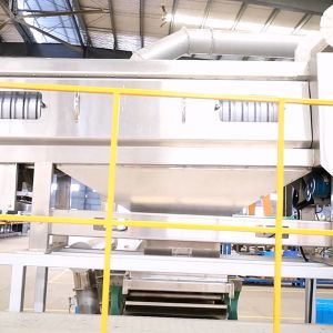 380V Operated Pecan Shelling Machine With CE Certification