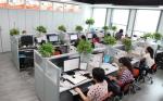 LED Lamp Consumer Electronics Inspection