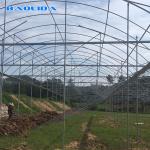 Agriculture Natural Ventilation Greenhouse Temperature Control Multi Span