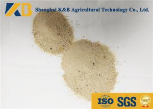 Wholesale 100% Pure Brown Rice Gluten Protein Powder For Animal Fish Poultry Meal from china suppliers