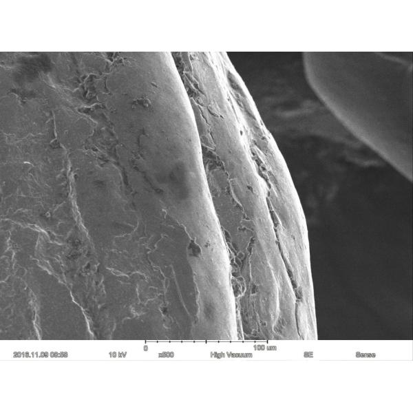 Magnification Max 60000X Scanning Electron Microscope 15nm Resolution Optional EDS