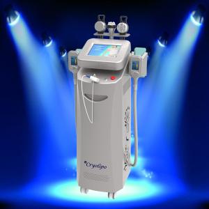 Wholesale 2014 Best cryolipolysis for beauty salon use / salon cryolipolysis machine from china suppliers