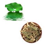 Nuciferine Lotus Leaf Extract Powder 50% Relieve Intestinal Poisoning