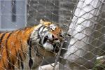 Indoor And Outdoor Rope Net Fence Heavy Duty Metal Screen Mesh