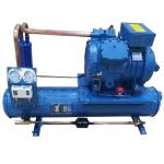 V2084Y sturdy and compact design Italy frascold condensing unit for cold room