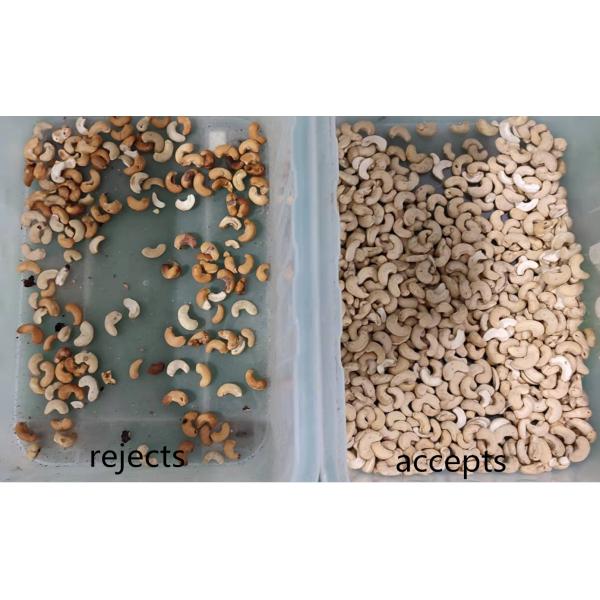 Automatic Macadamia Nut Color Sorter Nuts Color Sorter Macadamia Kernel Shell Separator Equipment