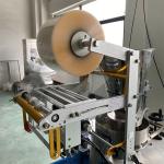 5bags/min 30g Granule Filling Machine VFFS Salt Sachet Packing Machine