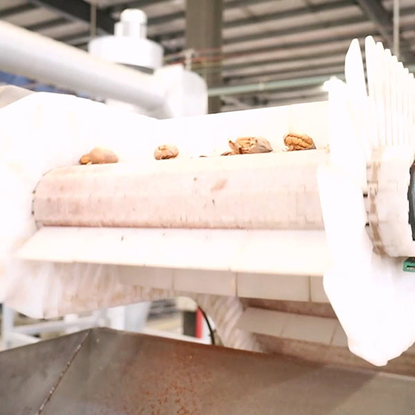 CE Verified 380V Pecan Shelling Machine With High Perfect Kernel Rate