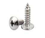 316 Stainless Steel Extra-Wide Rounded Head Screws for Sheet Metal Truss Head