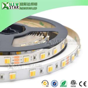 Wholesale CCT 2in1 5050 2 chips in one 12v 24v led CCT flexible strip WW+W dimmable dual white CCT adjustable led strip lights from china suppliers
