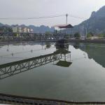 Half Bridge Sludge Scraper Equipment Peripheral Drive Carbon steel