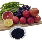 Organic Humic Acid for Sustainable and Environmentally Friendly Agriculture