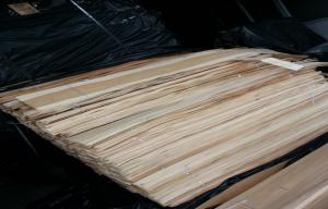 Wholesale Natural Sliced Cut Discolored Birch Wood Veneers Sheet For Furniture from china suppliers