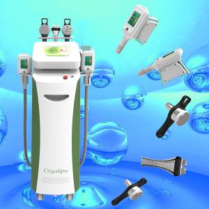 Wholesale Cryolipolysis cellulite reduce machine Cool sculpt fat freezing treatment from china suppliers