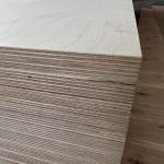 Cabinets Hardwood Veneer Plywood Durable With Phenolic Adhesive