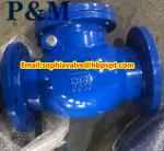 BS5153 cast iron swing check valve