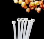 Nylon 66 8 Series 250mm Cable Ties White Heavy Duty Plastic Zip Ties
