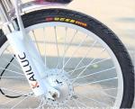 Lithium Battery Powered 240W 48V 24 Inch Wheel Electric Bike